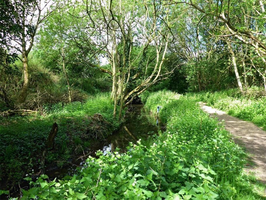 The Hideaway @ Flagham Cottage. Malmesbury Exteriér fotografie